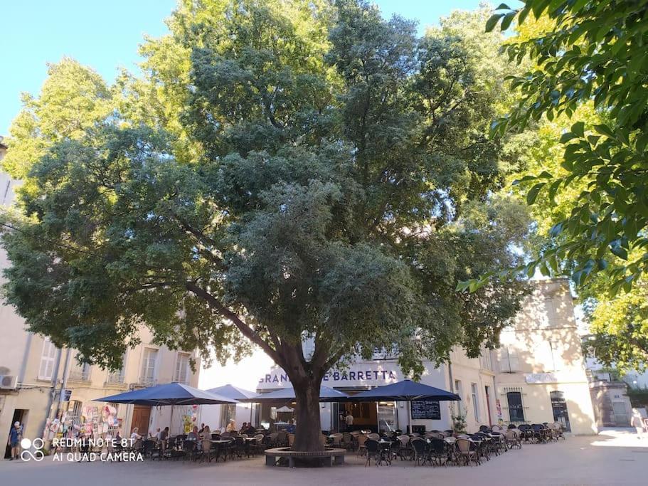 Bel Appartement Dans Centre Historique Avinyon Dış mekan fotoğraf