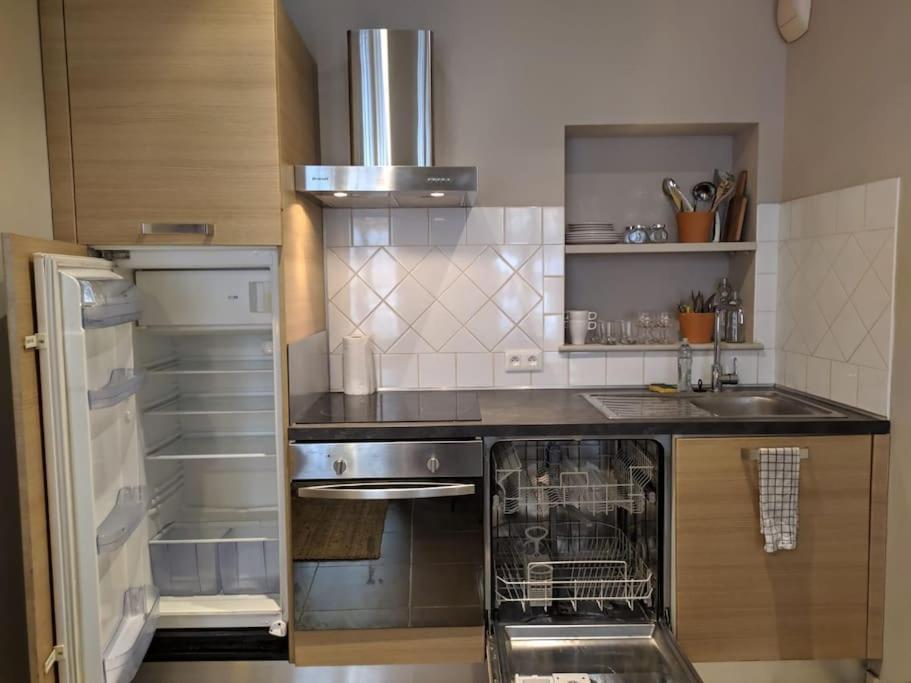 Bel Appartement Dans Centre Historique Avinyon Dış mekan fotoğraf